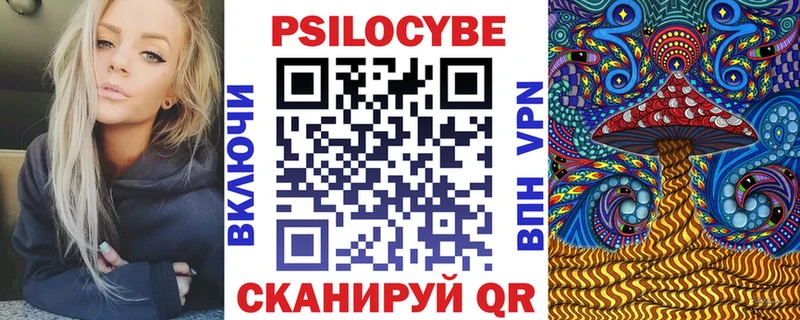 Купить  Бологое  Псилоцибиновые грибы Psilocybe 